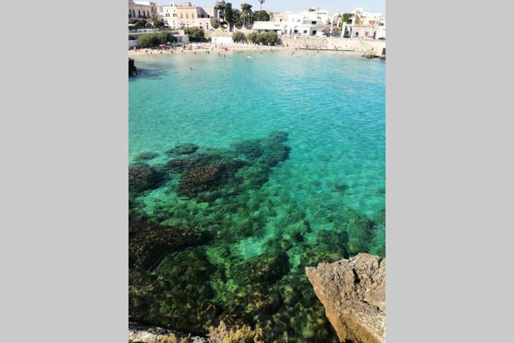 Residence Valentina Int 4 - Rooftop Sea View Infinity Pool Santa Maria al Bagno Exterior foto