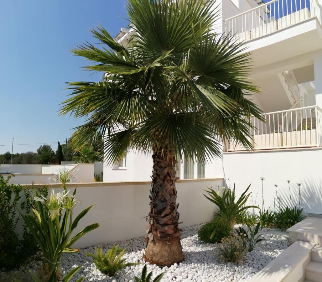 Residence Valentina Int 4 - Rooftop Sea View Infinity Pool Santa Maria al Bagno Exterior foto