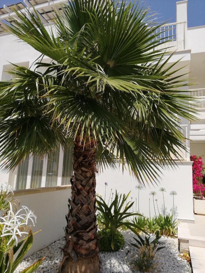Residence Valentina Int 4 - Rooftop Sea View Infinity Pool Santa Maria al Bagno Exterior foto